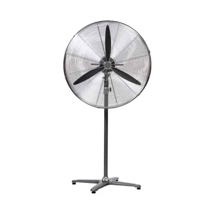 Pedestal Fan