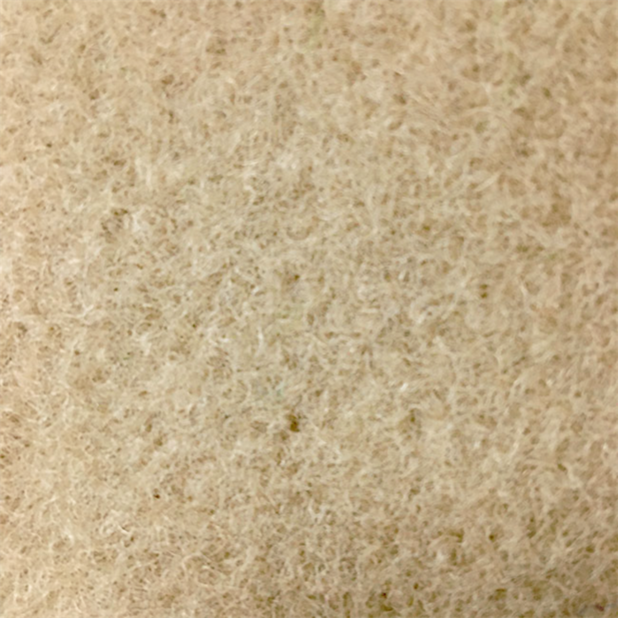 Carpet Runner Ivory Cloud