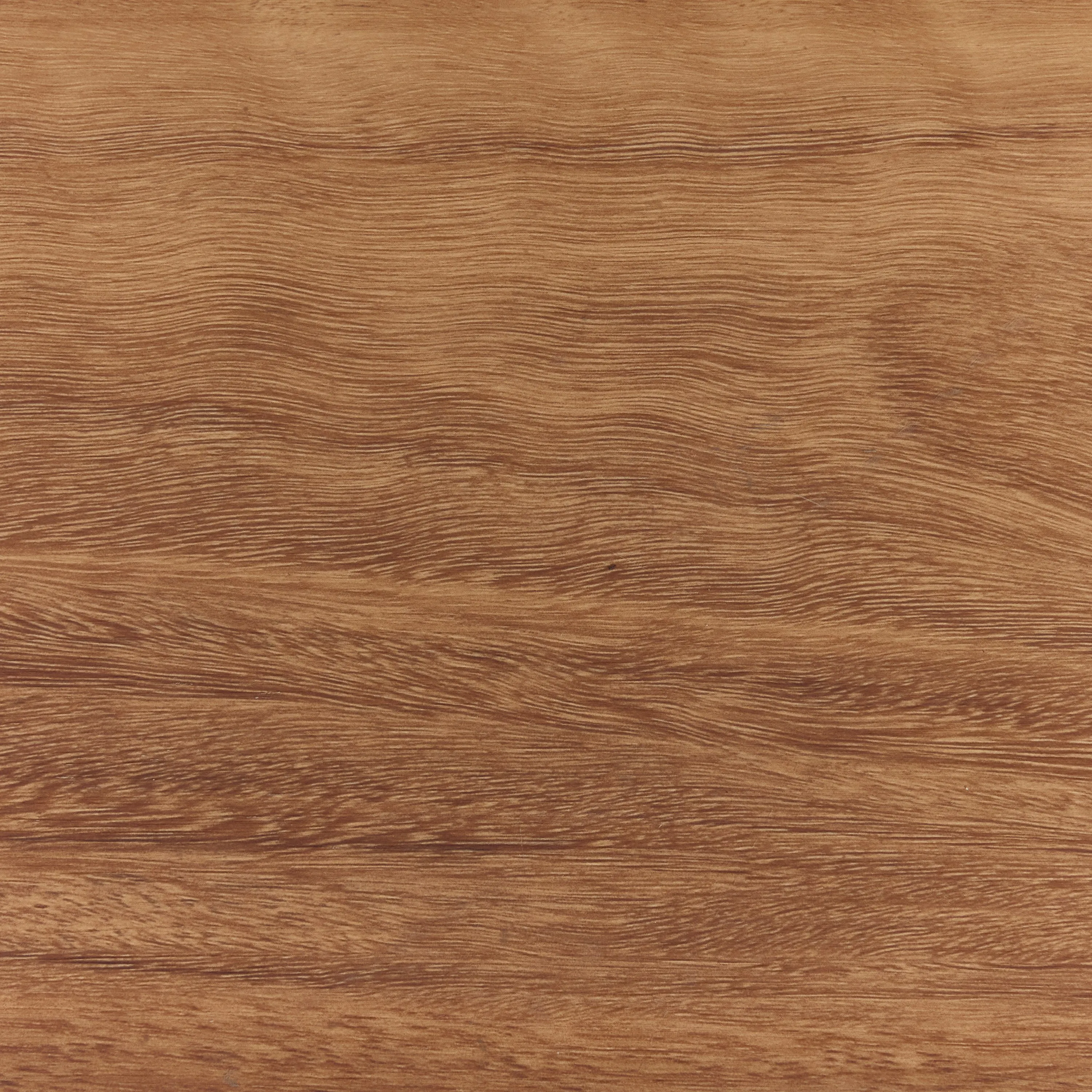 Spotted Gum