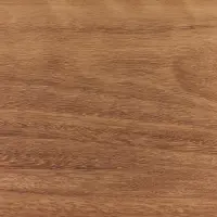 Spotted Gum