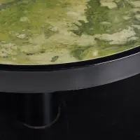 Green Tide 2